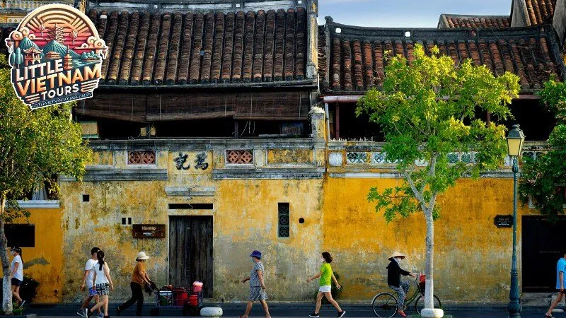 Hoa hậu Du lịch Việt Nam 2024 và hành trình quảng bá