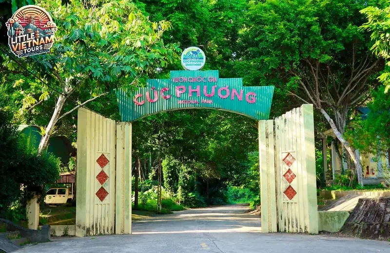 Du lịch sinh thái Cúc Phương – Thiên đường giữa rừng nguyên sinh Việt Nam