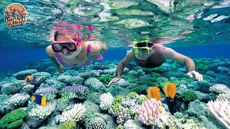Thời điểm lý tưởng để đi tour