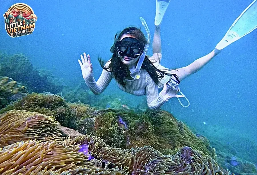Các điểm đến nổi bật trong tour