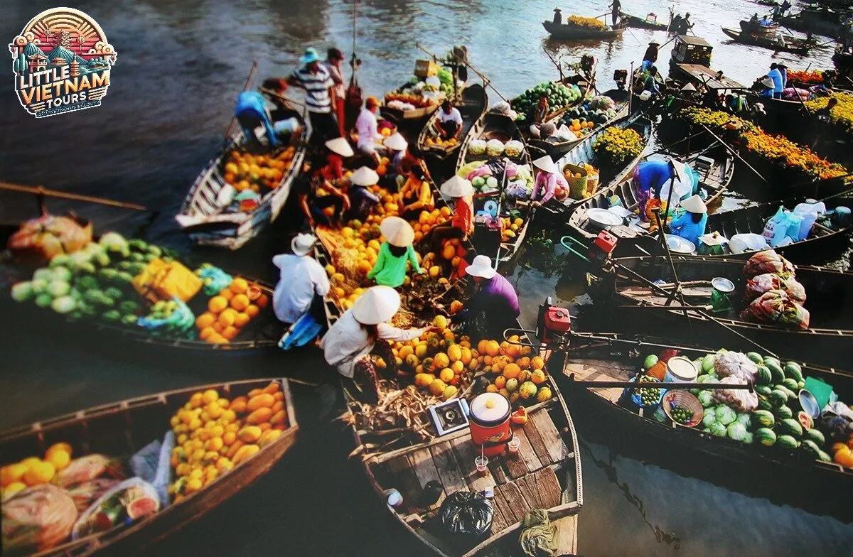 Gợi Ý Các Tour Du Lịch Và Dịch Vụ
