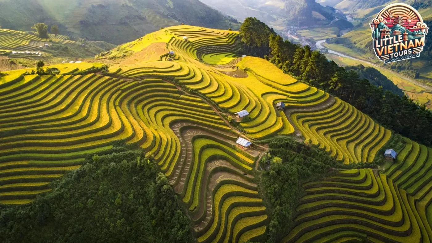 Ruộng bậc thang Tú Lệ