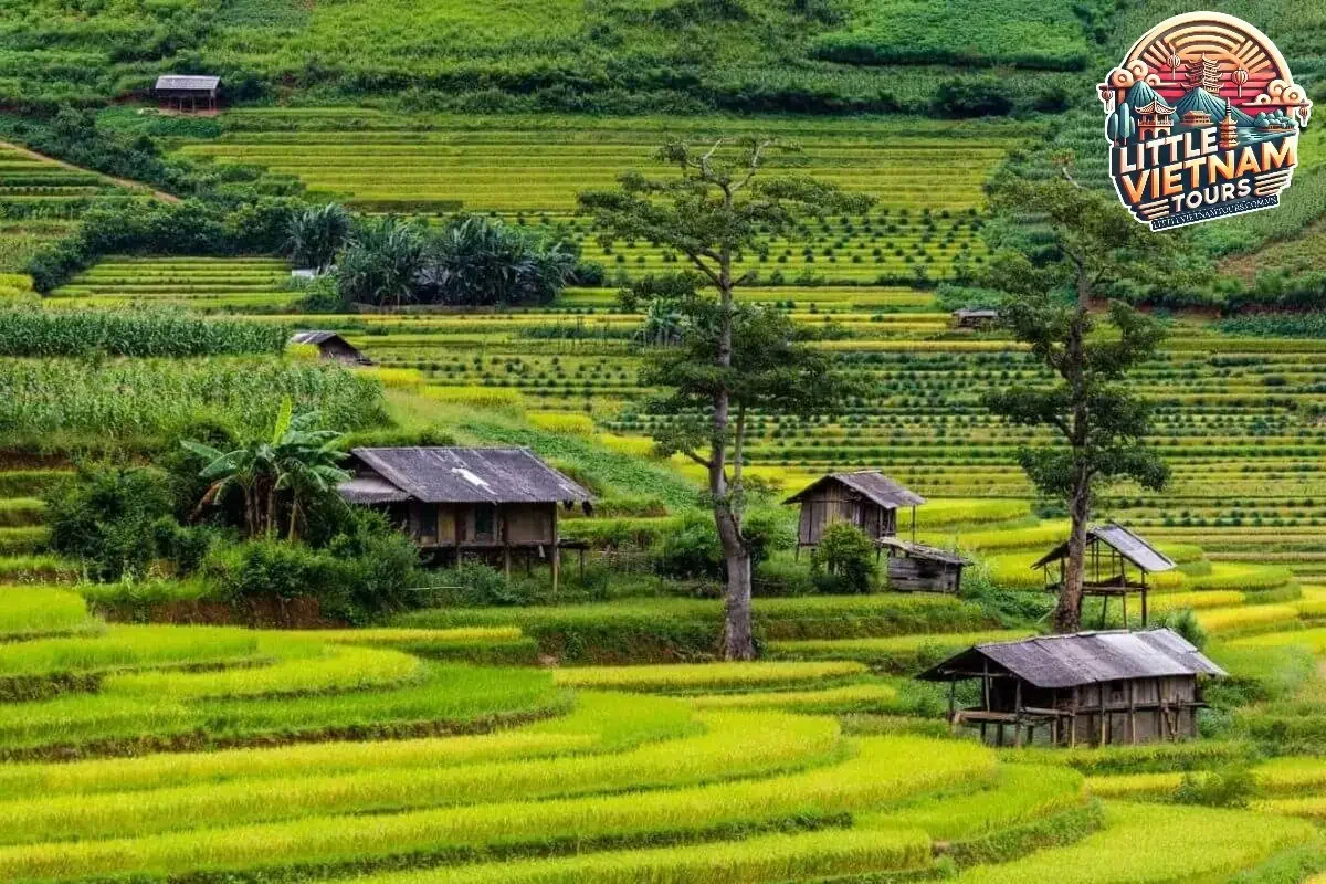 Bản Lìm Mông