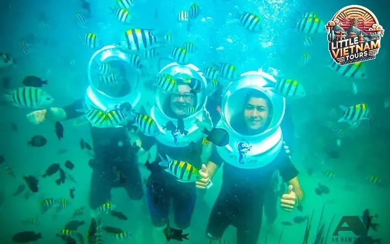 Đi Bộ Dưới Đáy Biển (Sea Walking)