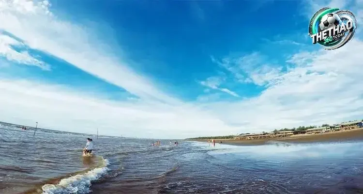 Cơ Sở Hạ Tầng và Dịch Vụ Du Lịch tại Cồn Vành
