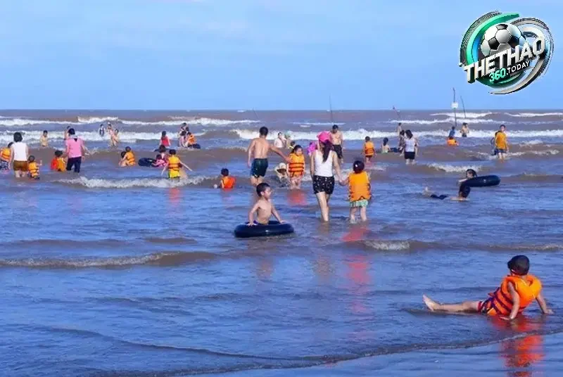 Vẻ Đẹp Hoang Sơ và Tiềm Năng Thiên Nhiên Của Cồn Vành