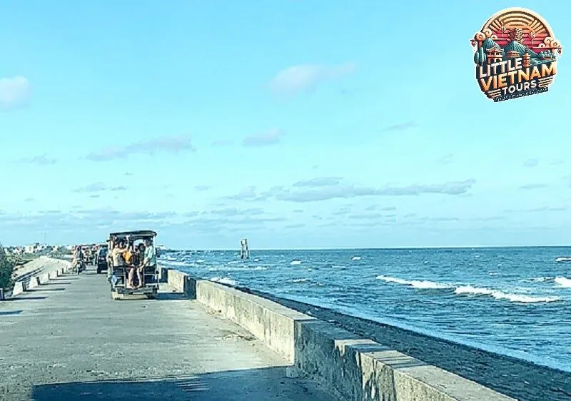 Hệ Sinh Thái Rừng Ngập Mặn Phong Phú