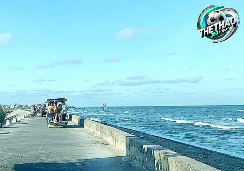 Hệ Sinh Thái Rừng Ngập Mặn Phong Phú