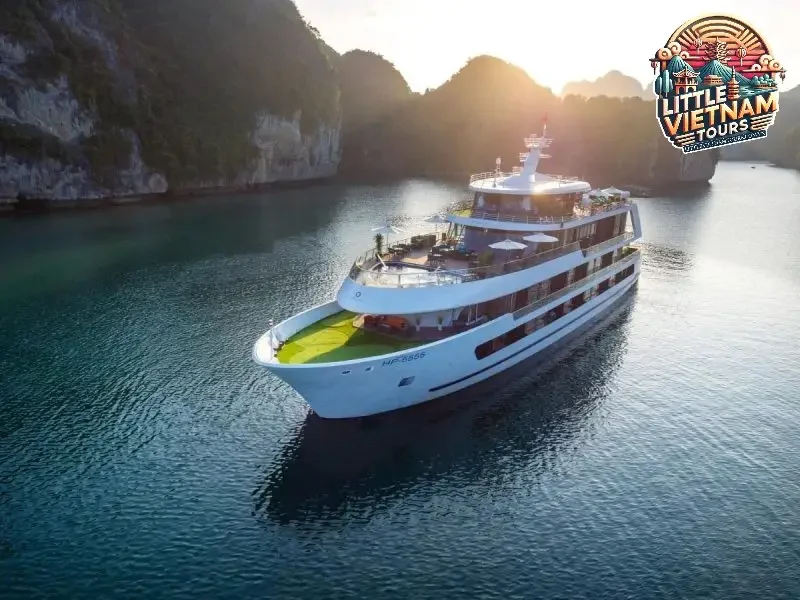 Các Hoạt Động Thú Vị
