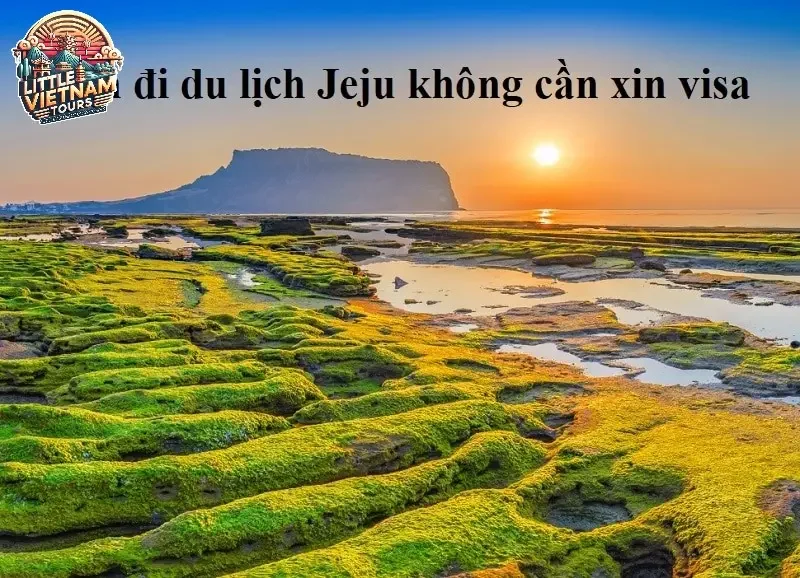 Lập kế hoạch cho chuyến đi Jeju tự túc