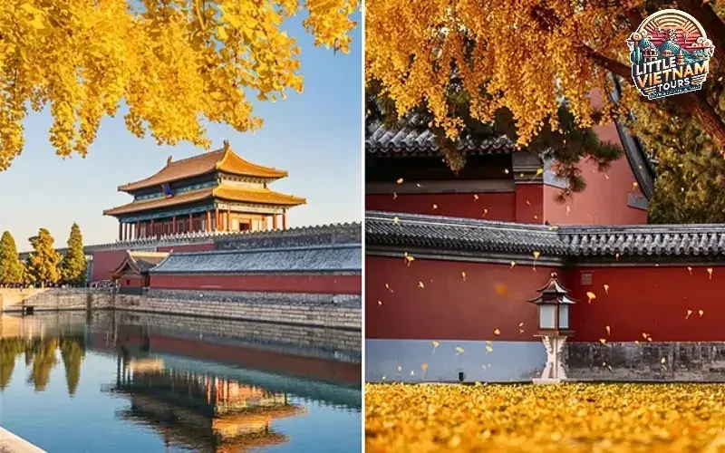 Mùa Thu (Tháng 9 - Tháng 11) Mùa Lá Vàng Rơi