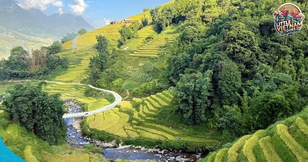 Mùa Mạ Non (Tháng 7 - Tháng 8) Xanh Hy Vọng Trên Những Triền Đồi