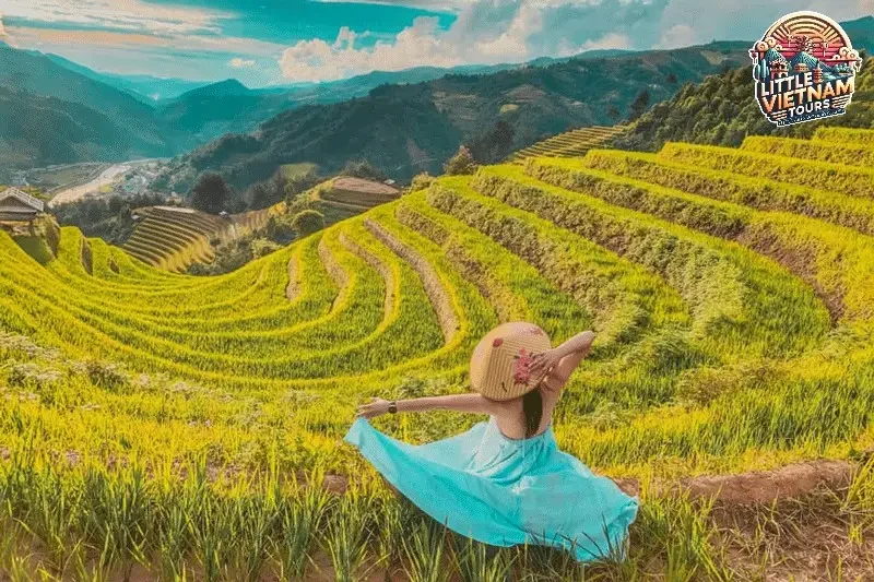 Mùa Lúa Chín Vàng (Tháng 9 - Đầu Tháng 10) Vàng Son