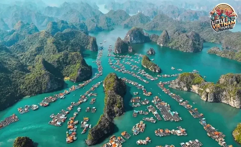 Khám Phá Thiên Nhiên Hùng Vĩ và Biển Cả Bao La