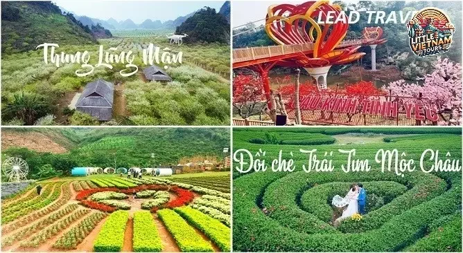 Mùa Xuân (Tháng 1 - Tháng 3) Hoa Nở Rộ