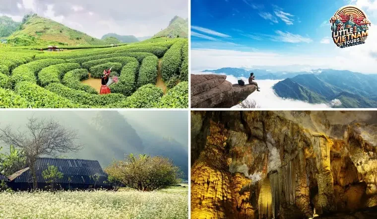 Mùa Hè (Tháng 4 - Tháng 8) Của Màu Xanh Và Quả Ngọt