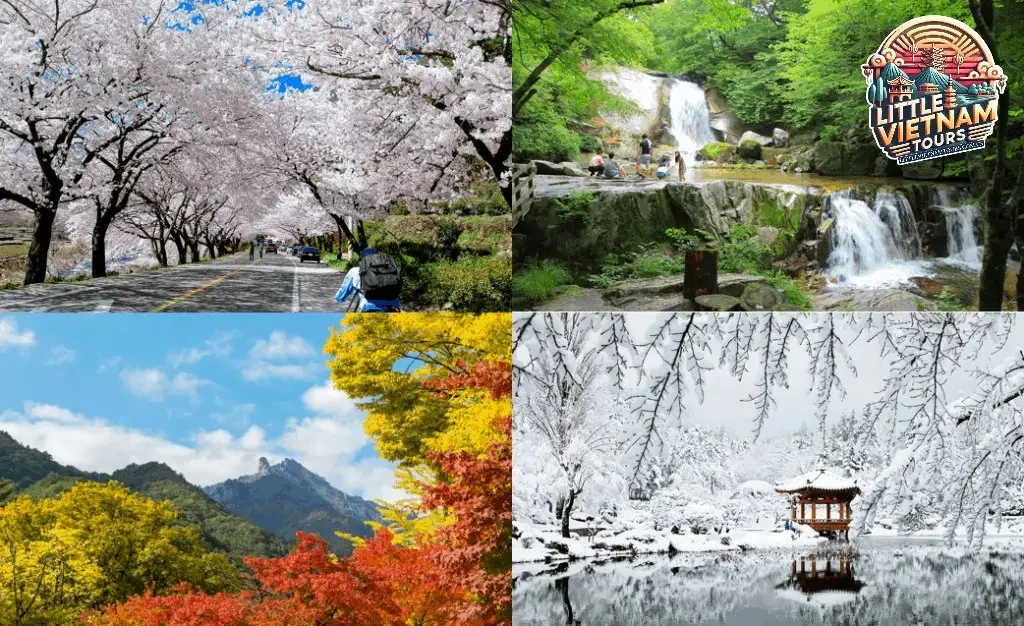 Mùa hè (Tháng 6 - Tháng 8) - Mùa của biển cả và lễ hội sôi động Mùa hè (Tháng 6 - Tháng 8) - Mùa của biển cả và lễ hội sôi động