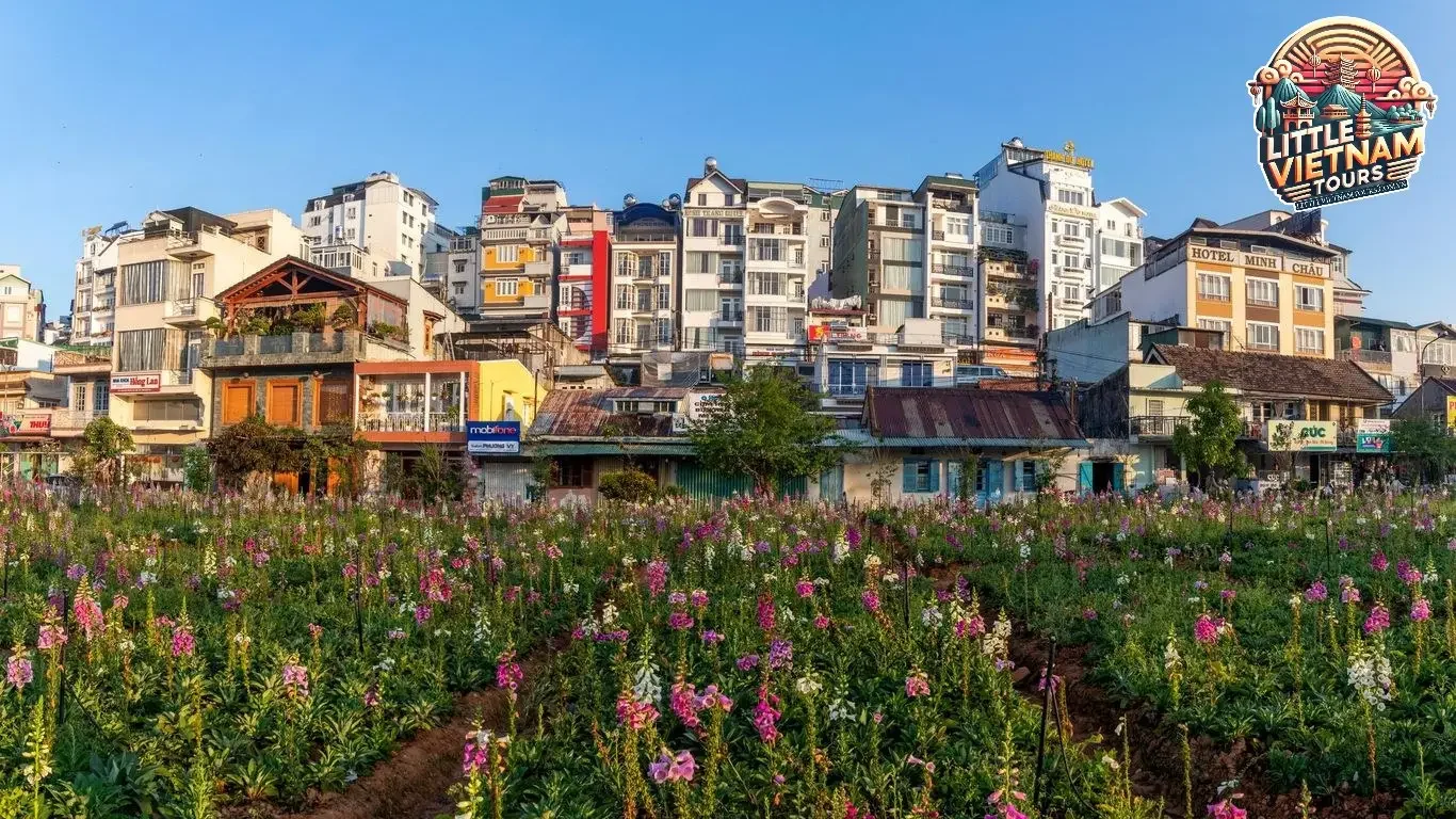 Sử Dụng Các Công Cụ Tìm Kiếm Vé Máy Bay Sử Dụng Các Công Cụ Tìm Kiếm Vé Máy Bay