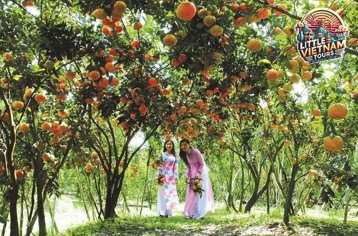 Ngày 3: Cần Thơ – Sóc Trăng – Bạc Liêu Ngày 3: Cần Thơ – Sóc Trăng – Bạc Liêu