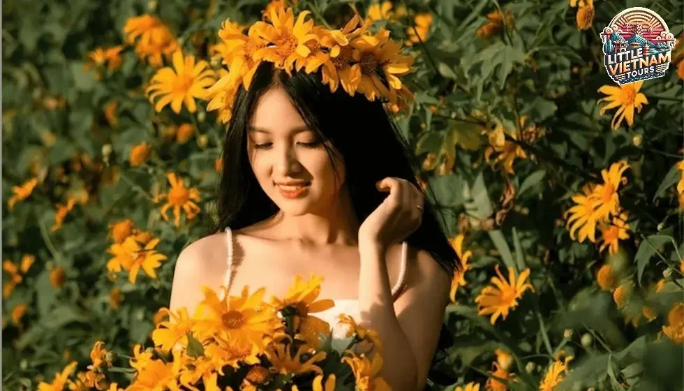 Đà Lạt - Những Cung Đường Hoa Vàng Đà Lạt - Những Cung Đường Hoa Vàng