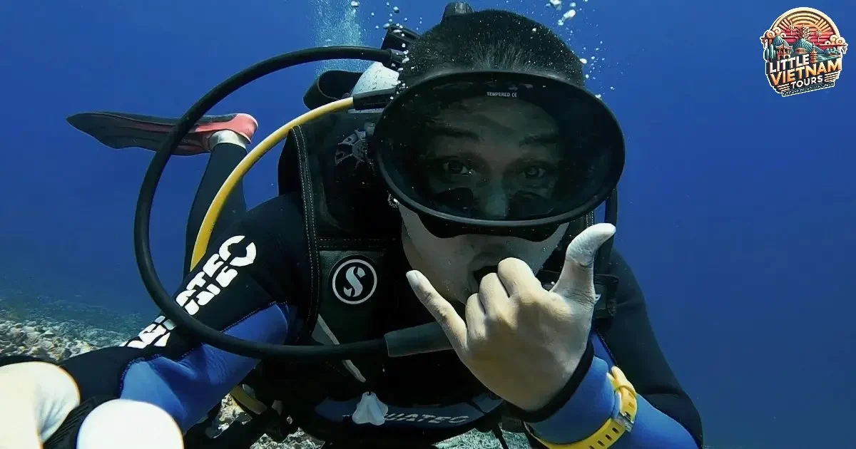 Các loại hình tour lặn biển phổ biến tại Quảng Bình