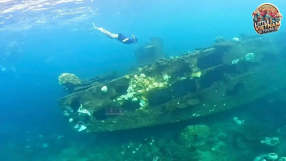 Những lưu ý quan trọng khi tham gia tour lặn biển ở Quảng Bình