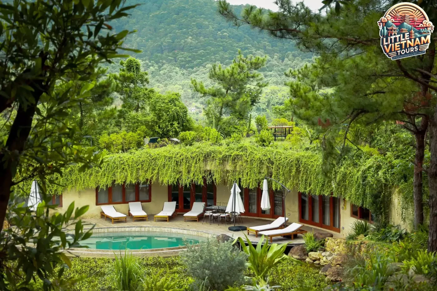 3 Ngày Không Điện Thoại Tại Khu Retreat