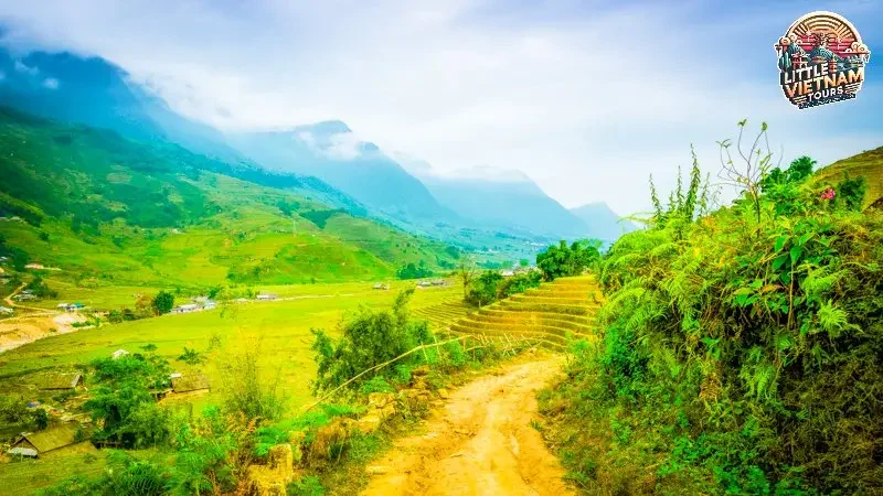 Vẻ Đẹp Thiên Nhiên Hùng Vĩ Của Mù Cang Chải